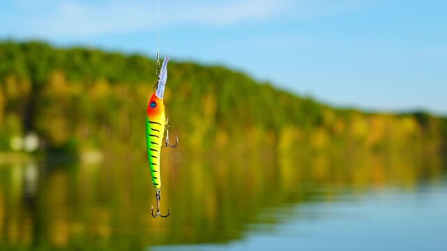 The rotation of a bright wobbler against the backdrop of the water of a calm lake and an autumn landscape. Fishing and active catching of predatory fish in bodies of water. Close-up.