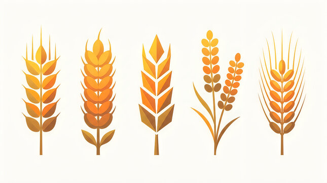 Set of five golden wheat grain stems in a flat vector illustration style