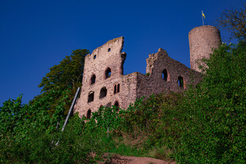 A detailed low angle wide architecture photo showing ancient medieval stone castle ruins Strahlenburg with round watchtower on green hill under clear blue sky © Tatiana Selinger