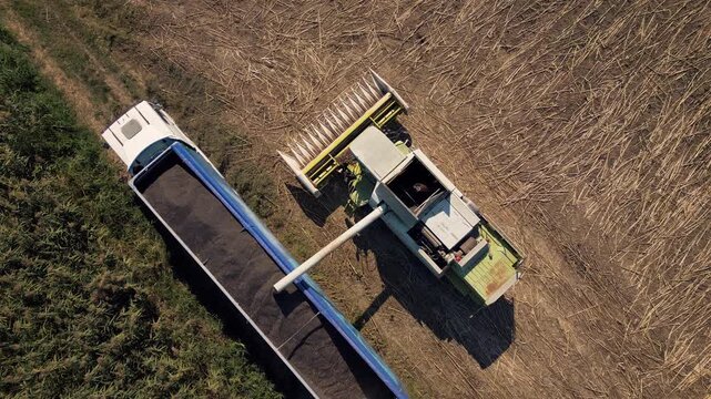 Aerial Top View of Combine Harvester Offloading Sunflower Seeds into Truck