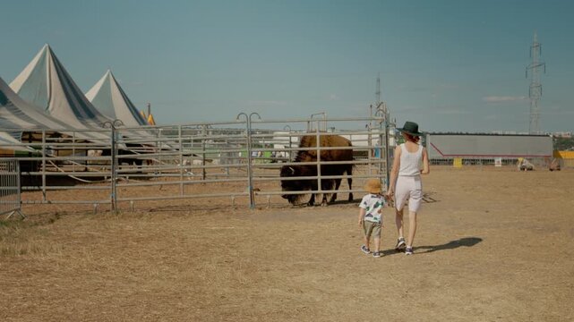 A woman walks at the zoo with her child. They go towards a bison in a large open area. The sun shines bright as they explore the animal exhibits together.