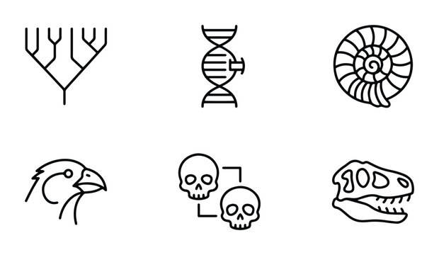 Evolutionary Biology Icons: DNA, Phylogeny, Fossils, Skulls, Bird Head, Dinosaur Skull