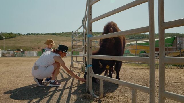 A woman and her child are feeding a bison with vegetables near its pen at the zoo. Visitors watch as they enjoy this special moment with the animal.