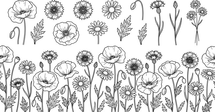 Wildflower horizontal seamless border vector illustration featuring line art poppies, cornflowers, and daisies with matching isolated elements for floral pattern designs.