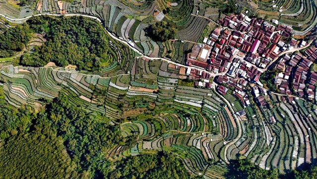 Aerial view of Pagergunung village featuring intricate terraced agricultural fields and a dense cluster of houses with red roofs in Ngablak, Central Java, Indonesia.