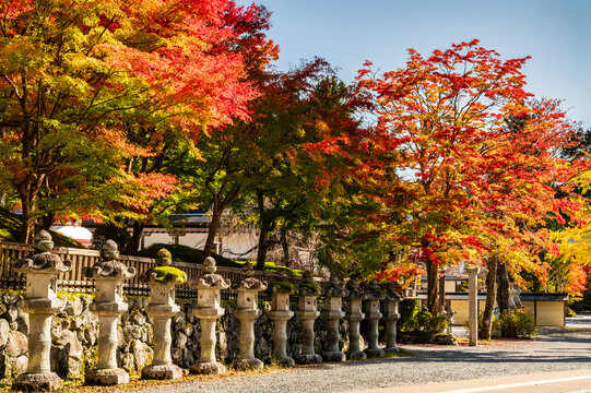 神社や寺院の参道に並ぶ石灯籠と鮮やかな紅葉、日本の秋の情景