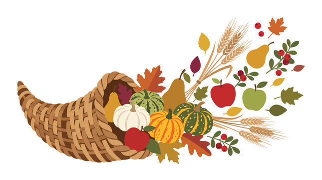 Thanksgiving cornucopia with autumn harvest, horn of plenty with pumpkins and fall fruits, seasonal bounty vector illustration isolated on White Background