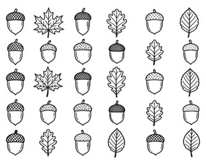 Set of hand drawn autumn leaves and acorns © SHAHID