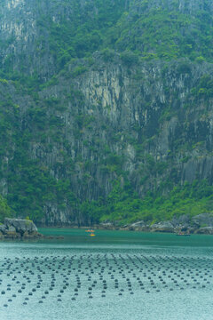 Tourists kayaking through an oyster pearl farm and lush green limestone mountain in Ha Long Bay, Vietnam
