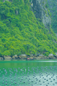 Tourists kayaking through an oyster pearl farm and lush green limestone mountain in Ha Long Bay, Vietnam