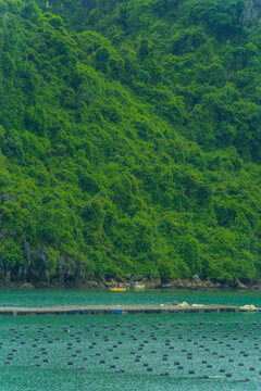 Tourists kayaking through an oyster pearl farm and lush green limestone mountain in Ha Long Bay, Vietnam