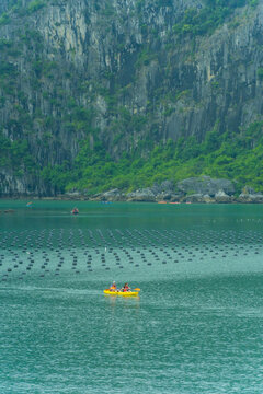 Tourists kayaking through an oyster pearl farm and lush green limestone mountain in Ha Long Bay, Vietnam