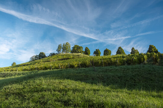 Natural landscape of beautiful green hills and vineyards. Sunny day with blue cloudy sky.