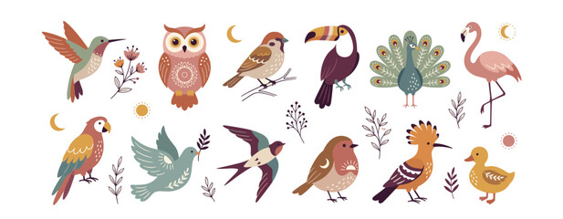 Fototapeta premium Bird Hand Drawn Vector Set Boho Flat Illustration Colorful Nature