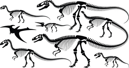 Collection of various dinosaur skeletons and fossil silhouettes including flying pterodactyl on a white background © MdArifin