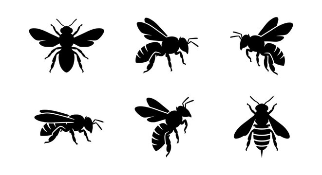 Six detailed black silhouette illustrations depict bees in various flight and resting positions against a stark white.