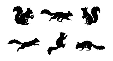Obraz premium Squirrel silhouettes depict various actions including holding a nut, running, and leaping across the frame.