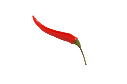 Single raw red chili pepper lying isolated on transparent background