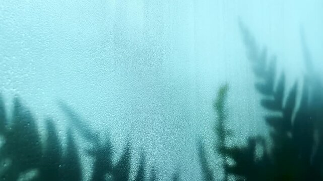 Condensation beads cover a glass window, softening blurred green plants beyond it