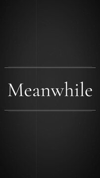 "Meanwhile" vintage title card in classic serif, appearing letter by letter between double rules, black and white with film grain, vertical 9:16