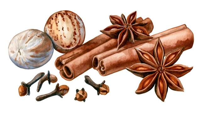 Watercolor spices including cinnamon sticks nutmeg and star anise