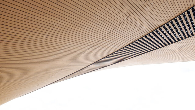 Curved wooden ceiling with geometric architectural pattern