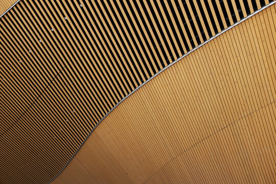 Curved wooden slat ceiling in contemporary architecture