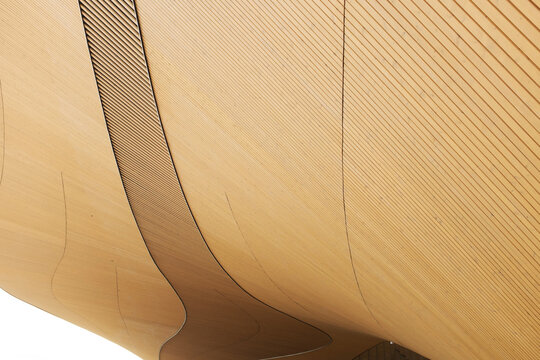 Curved wooden architecture with flowing wavy ceiling lines
