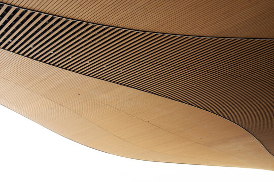 Curved wooden ceiling with wavy architectural slat pattern
