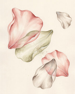 Delicate Abstract Floral Petals Floating in Watercolor Artistry with Soft Earthy Tones and Ethereal Botanical Composition