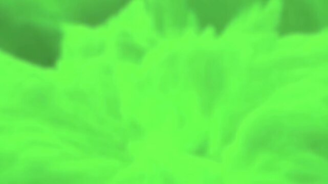 Abstract green shapes shift and swell across a soft, glowing blurred background