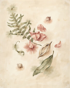 Vintage Botanical Illustration Featuring Pressed Fern Leaves and Delicate Dried Floral Petals on Aged Parchment Background
