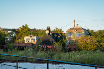 Abandoned locomotives and railway wagons overgrown with weeds and shrubs at a disused CFR rail yard in Dej, Romania, bathed in warm evening light. © Anze