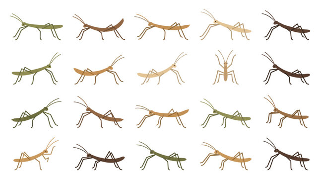 Set of various stick insect illustrations in different colors and poses isolated on white background.
