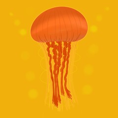 jellyfish in the water © Kotchawalee