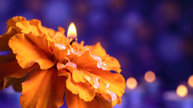 Glowing marigold flower with burning candle against blurred violet background, Day of the Dead