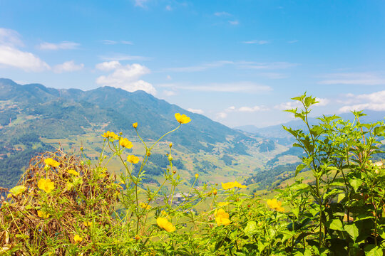 Breathtaking scenery of terraced rice fields. Picturesque rice terraces of Mu Cang Chai.