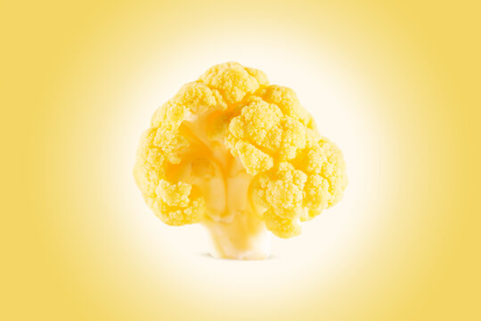 Fresh yellow cauliflower  on a gradient background.