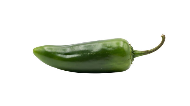 Background for designs` -> lets build carefully. String: `A single fresh green jalapeno pepper lying horizontally with its stem pointing right, featuring smooth glossy skin and subtle surface