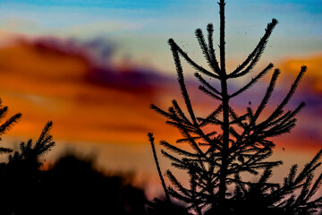 niebo © John