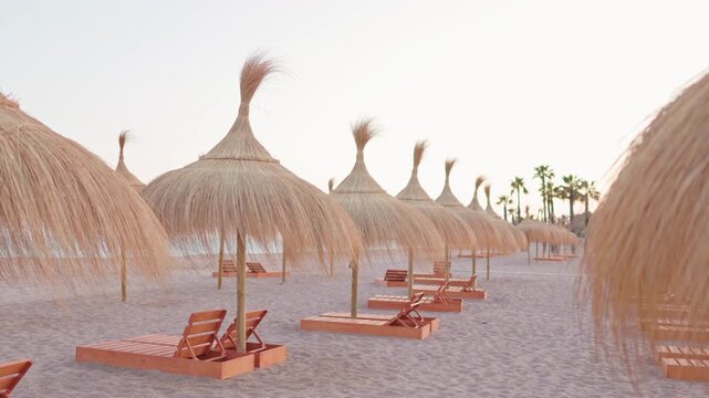 Empty sandy beach with straw parasols and tourist resort sunbeds during a quiet, peaceful sunset