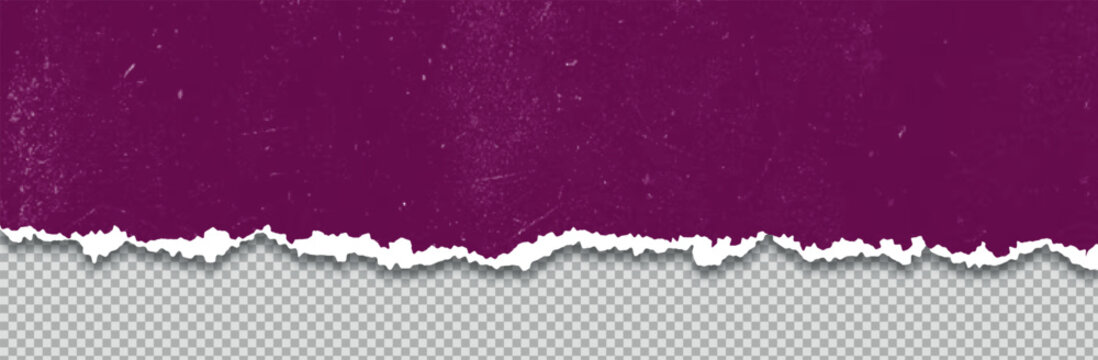 Dark purple paper texture with a torn edge showing a rough white border