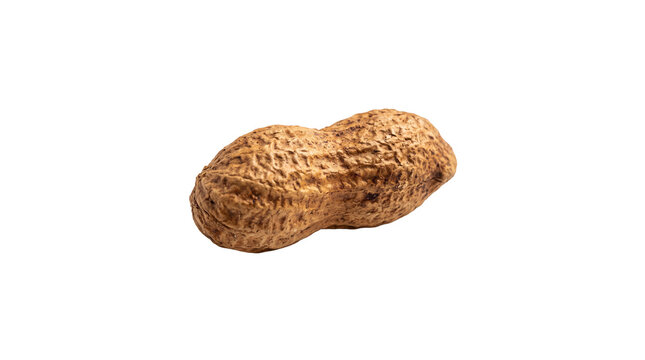 Crunchy Golden Roasted Peanuts with Natural Texture Isolated on Clean White Background
