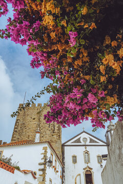 Vibrant bougainvillea flowers framing the historic castle tower and church in the medieval town of Obidos, Portugal