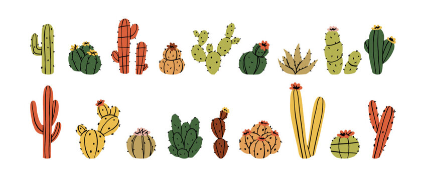 Cacti set. Wild cactuses with different shapes, sizes. Plants of Mexican deserts. Cactuses with blossom flowers. Flowers of desert. Prickly cacti of Mexico. Western plants with thorns and cute forms
