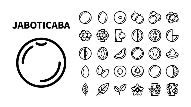 Jaboticaba Fruit and Icons: A collection of line art icons illustrating the jaboticaba fruit, showing its whole form, cross-sections, and various related elements like leaves and flowers.