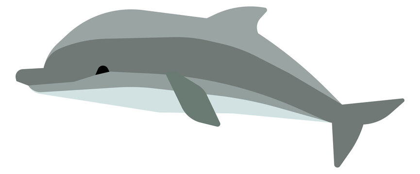 Swimming dolphin. Wild tropical marine animal icon