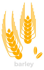 Obraz premium Barley color icon. Gold grain crop symbol
