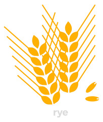 Obraz premium Rye ears color icon. Farm grain plant