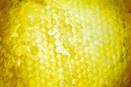 Close-Up Texture of Golden Honeycomb with Fresh Honey
